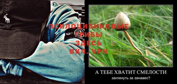 мет Зеленодольск