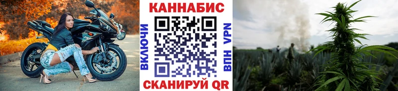 Конопля сатива  Серпухов 